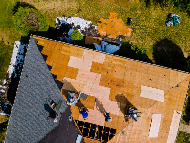Best Roof Repair Services  in Goldstream, AK