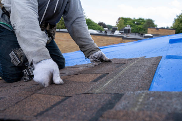 Best Best Roofing Contractors  in Goldstream, AK