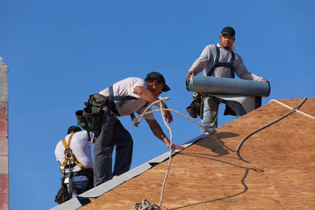 Best Roof Maintenance Services  in Goldstream, AK