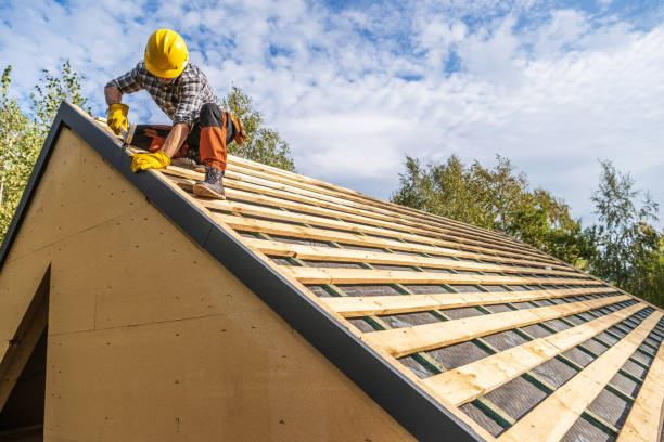 Roof Gutter Cleaning in Goldstream, AK