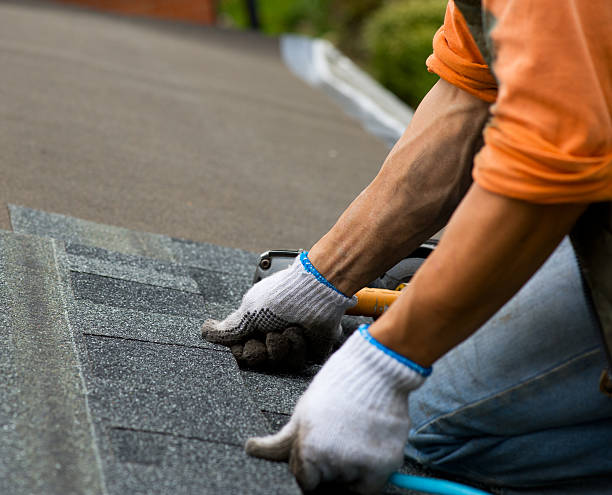 Best Affordable Roofing Company  in Goldstream, AK